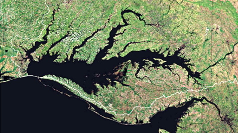 Chesapeake Bay