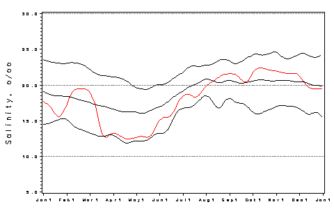 [Salinity Plot]