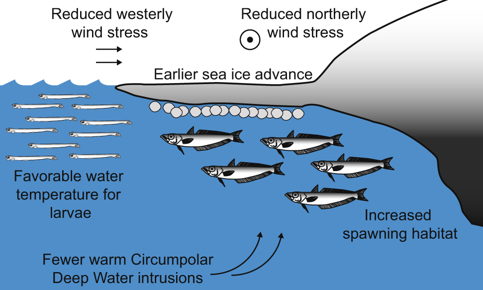 Cold Conditions