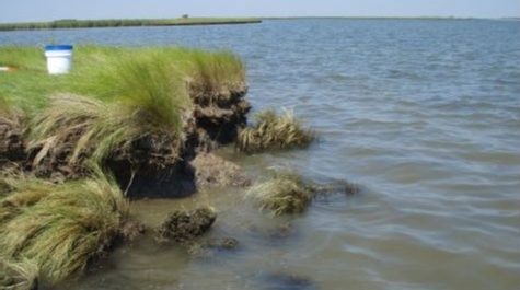 Shoreline Erosion