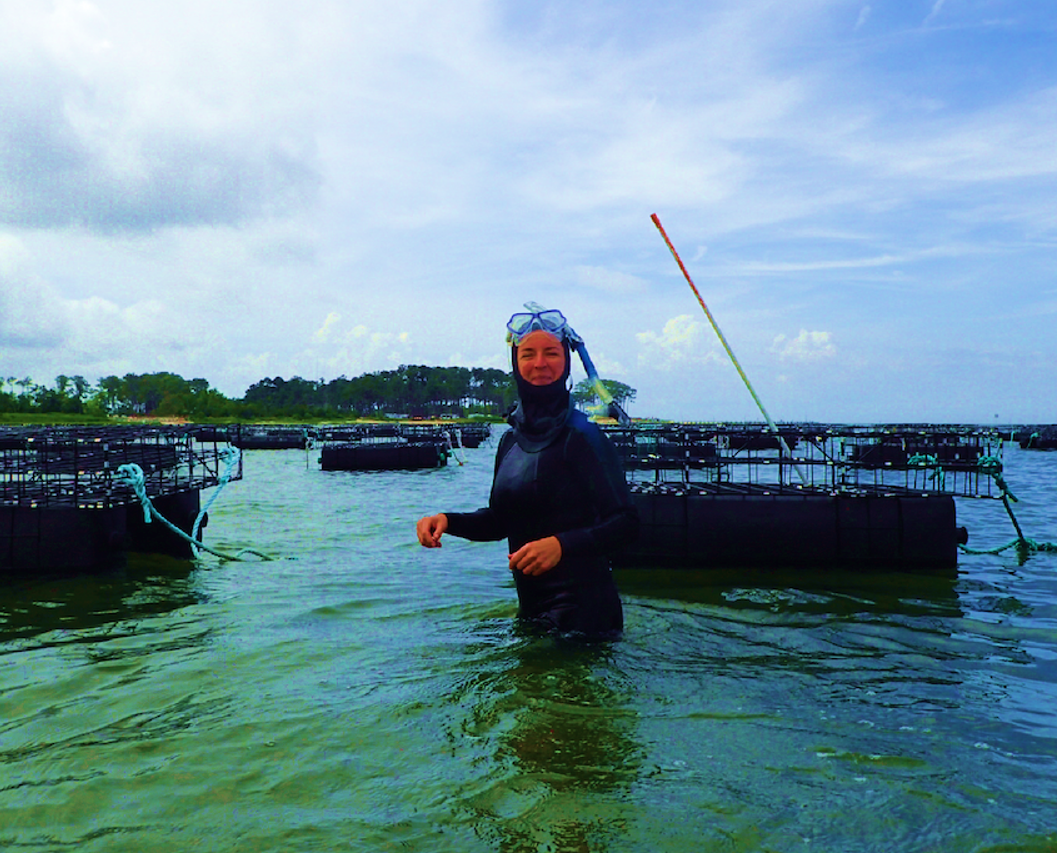 Floating oyster cages are co-located with SAV.