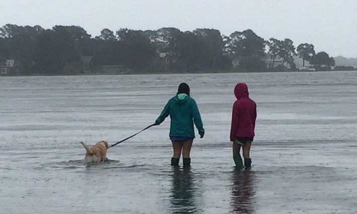 Sea-Level Rise in Virginia