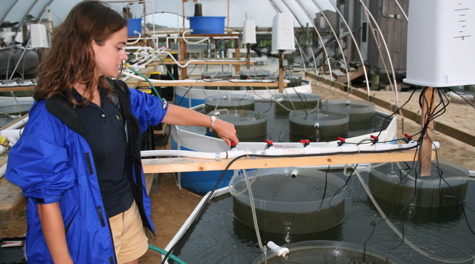 Seawater Tanks