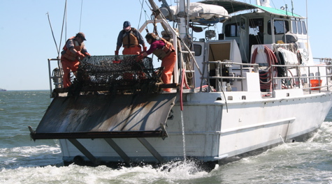 Dredge Retrieval