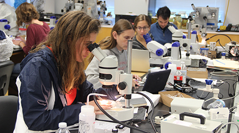 2015 Larval Fish Workshop