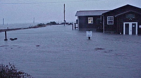 Eastern Shore Lab