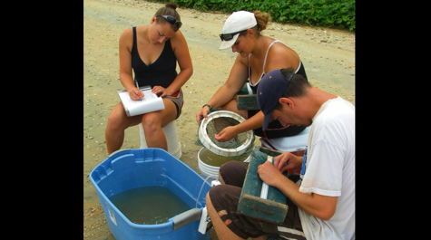 Processing Samples