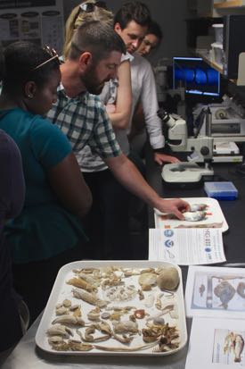 Jim Gartland, multispecies fishery survey manager at VIMS (center), describes the NEAMAP program to visiting congressional staffers.