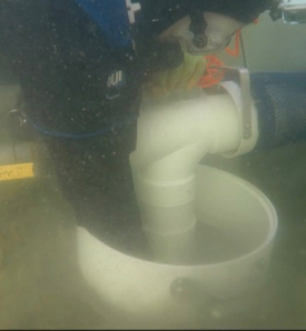 VIMS researcher Jim Goins vacuums up particles from a restored oyster reef to study the health and diversity of the oyster-reef community.  © L. Kellogg/VIMS.