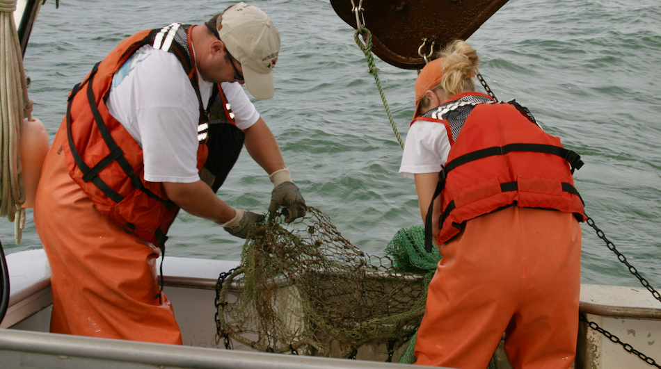 Hank Brooks and Aimee Comer of VIMS' Juvenile Fish Survey haul the trawl net back onto the stern of the RV {em}Fish Hawk{/em}. © VIMS Juvenile Fish Trawl Survey.