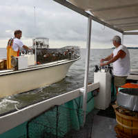 Hudgins Crabbing