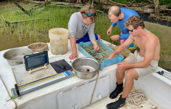 Striped Bass Seine Survey 2022