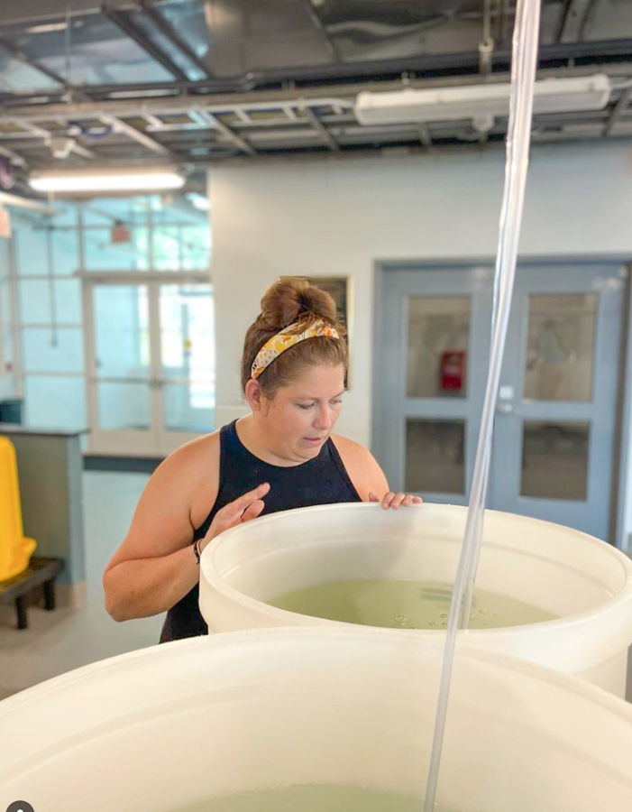 Lauren checking on shellfish larvae at the Acuff Center for Aquaculture. Photo credit: Bill Walton