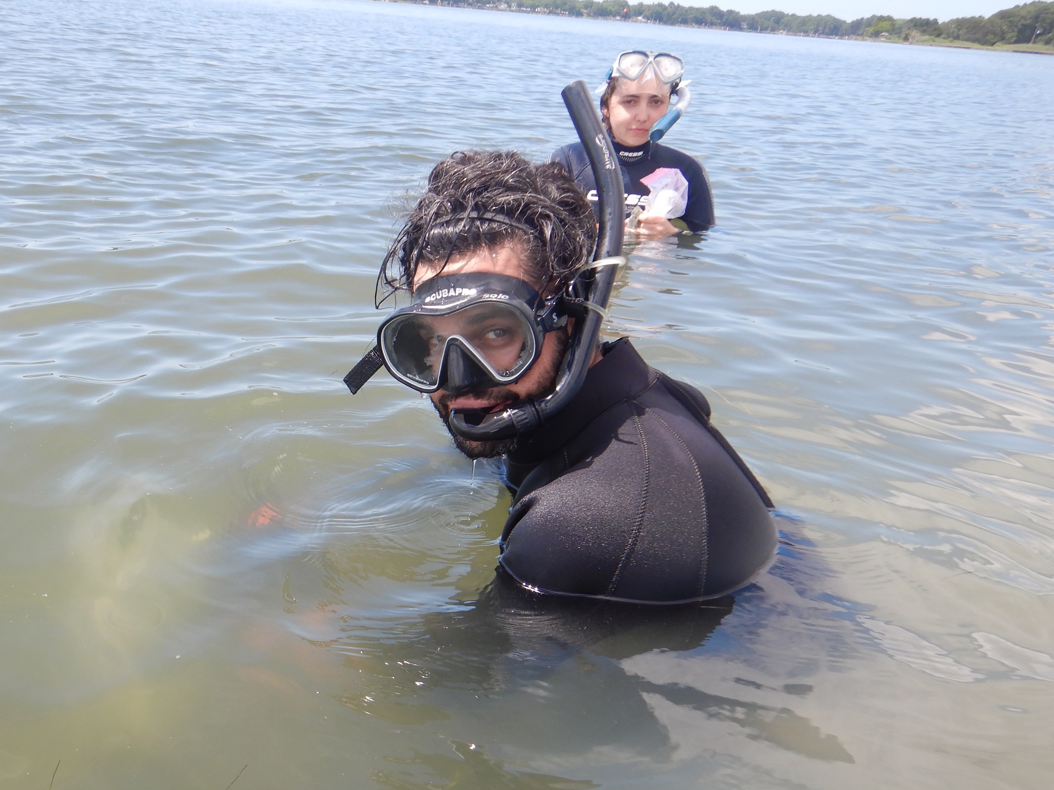 Lead author and VIMS Postdoctoral Research Associate Dr. Marc Hensel prepares to measure widgeongrass and eelgrass photosynthesis with William & Mary undergraduate researcher Caitlin Sughrue in Hungar's Shoal, VA. © Alyson Hall