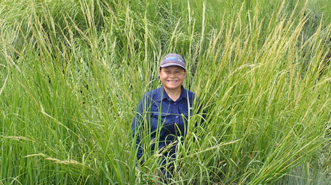 Kayla Martínez-Soto estimates crab density in northeast Massachusetts