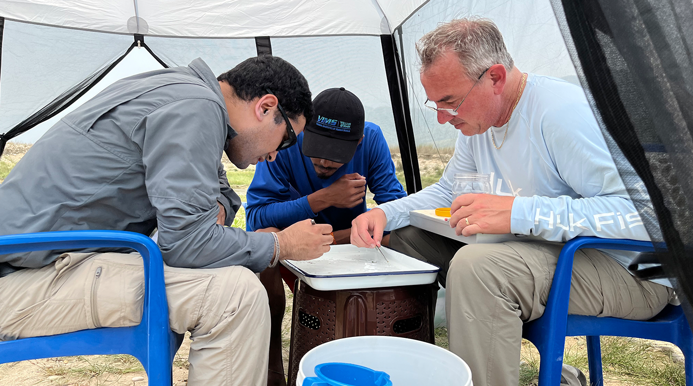 Picking macroinvertebrates in a make-shift ‘lab’ along the banks of the East Rapti River, Nepal