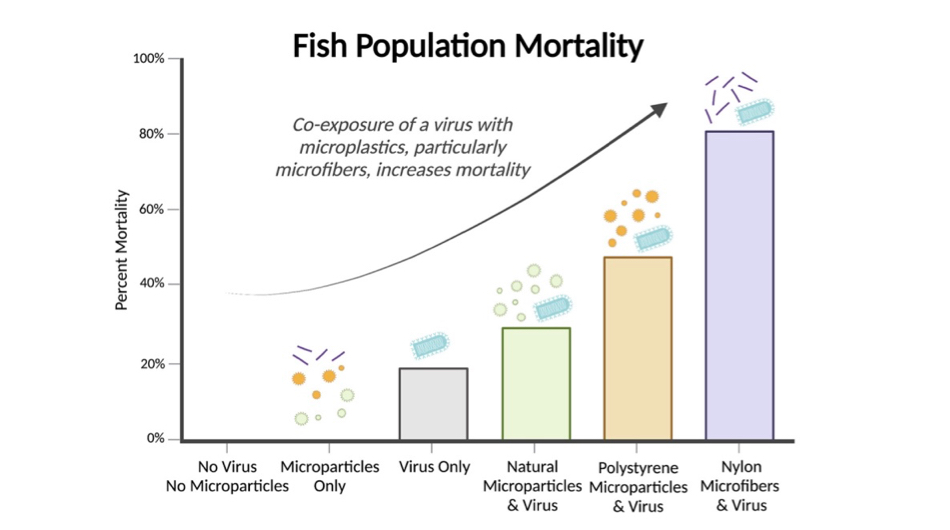 Virus & Microplastics