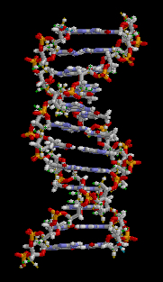 Microsatellite markers are repeating sequences of genetic material.