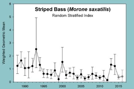 Juvenile Abundance Surveys