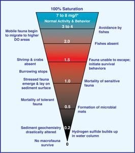 Low levels of dissolved oxygen significantly impact marine organisms and communities. Click for larger version.