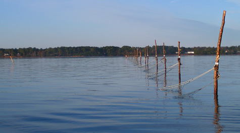 York River SGN