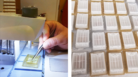 Embedding ovary sections