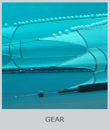 Gear