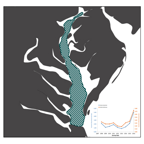 ChesMMAP Abundance