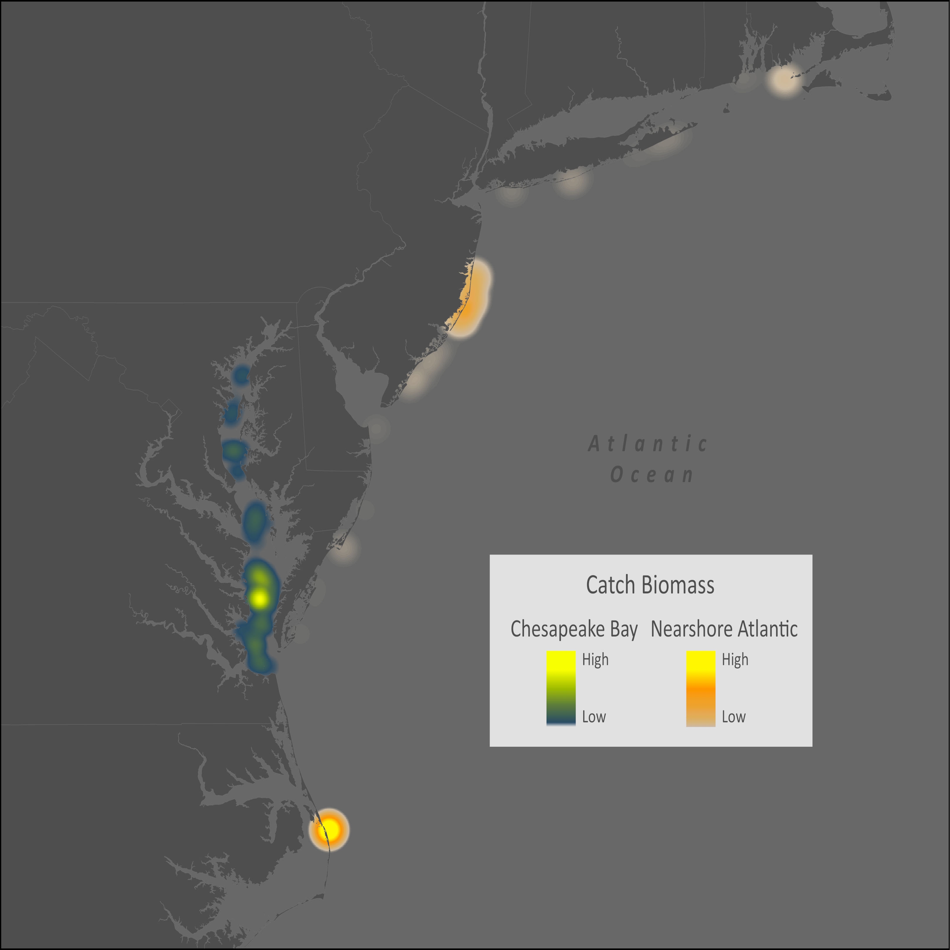 Hickory Shad Distribution