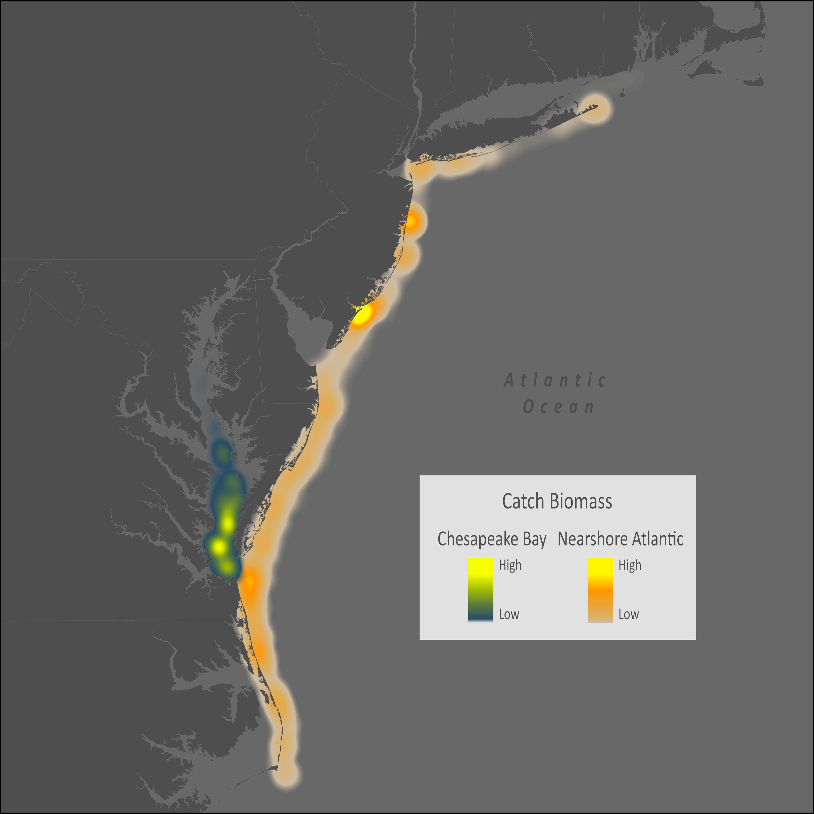 Northern Puffer Distribution