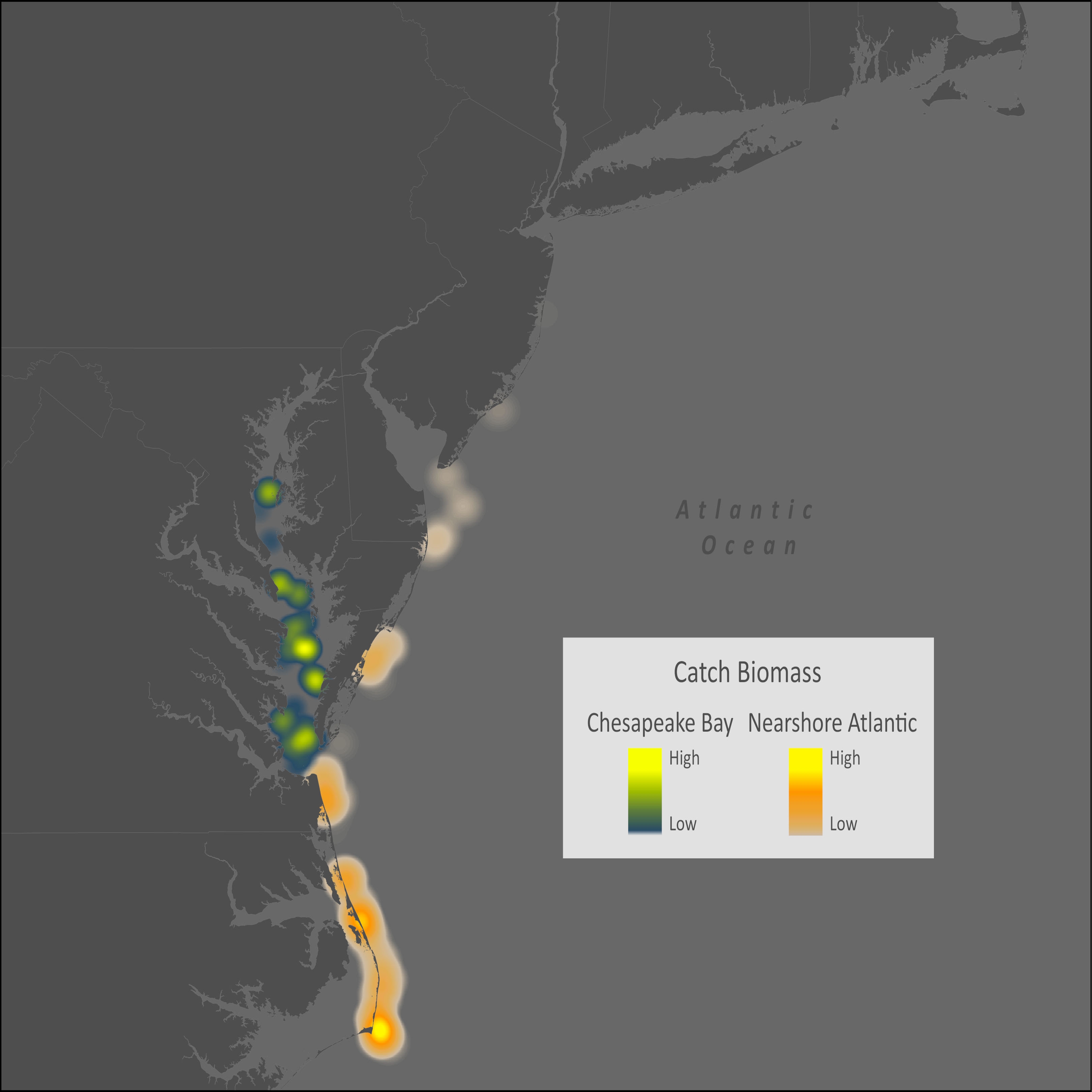 Spanish Mackerel Distribution