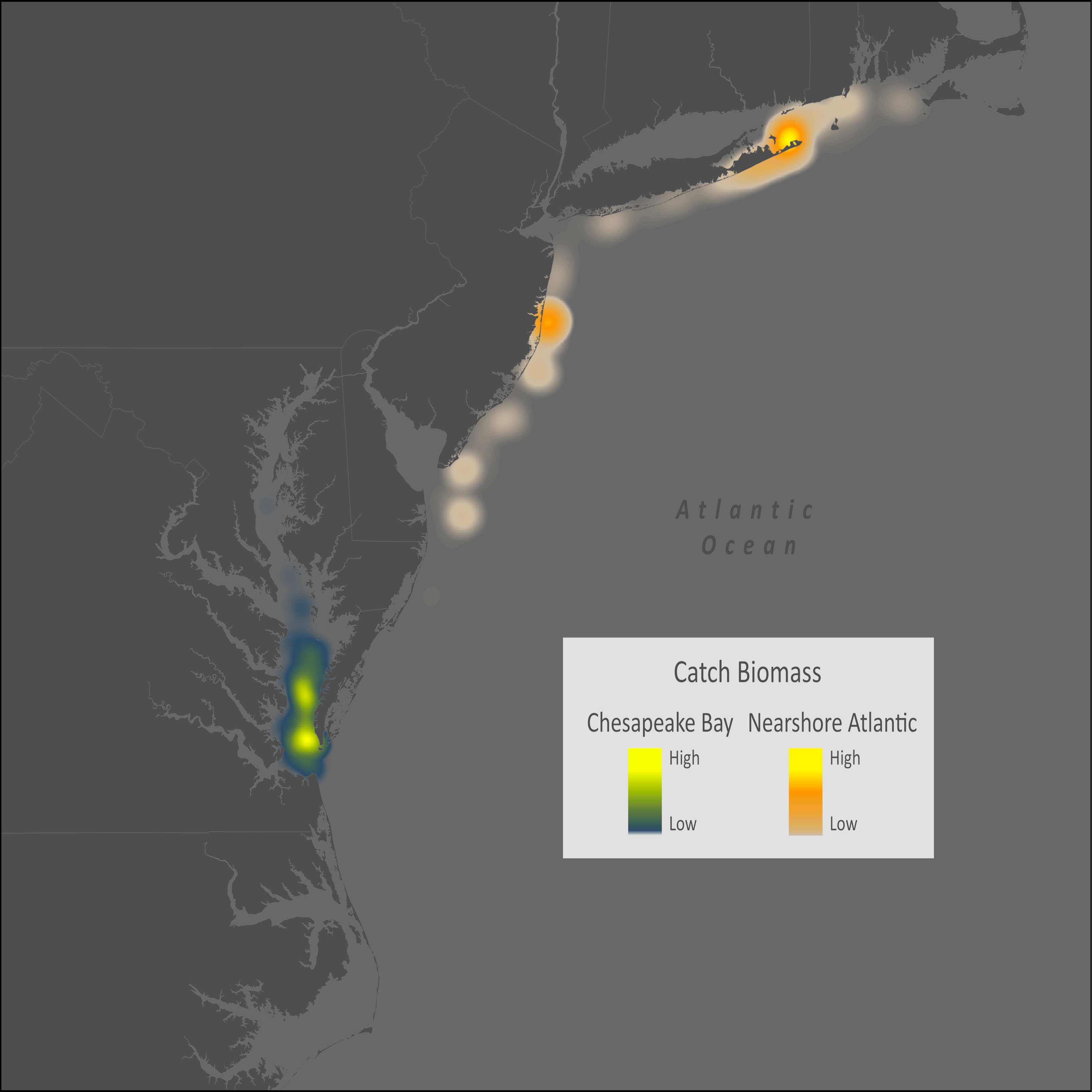 Spotted Hake Distribution