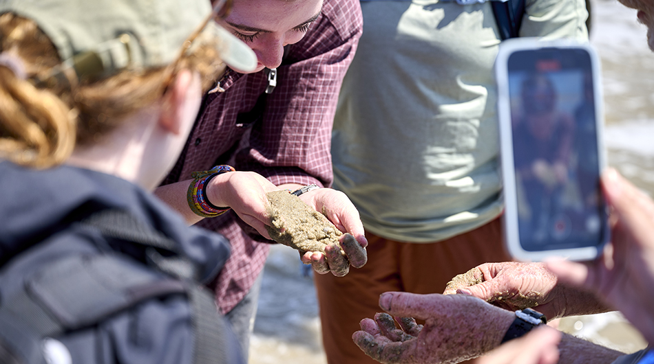 Participants dug through the sand, pausing to appreciate the different animals that they found. 